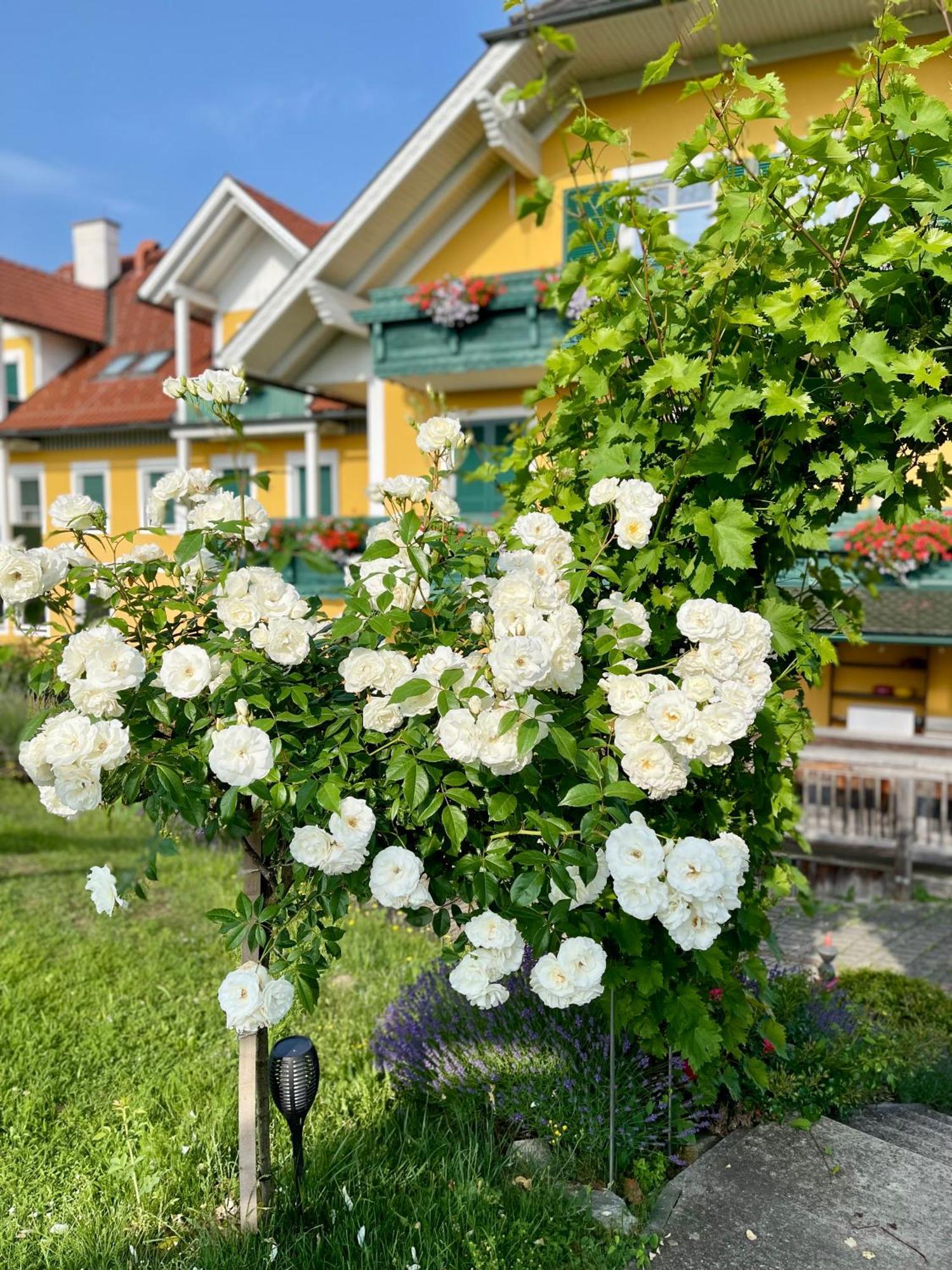 Panoramahotel Steirerland Kitzeck im Sausal Exterior foto